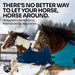 Bundle: Light-Weight 80g Winter Horse Turnout Blanket, Neck Warmer & Blanket Storage Bag Kensington Protective Products