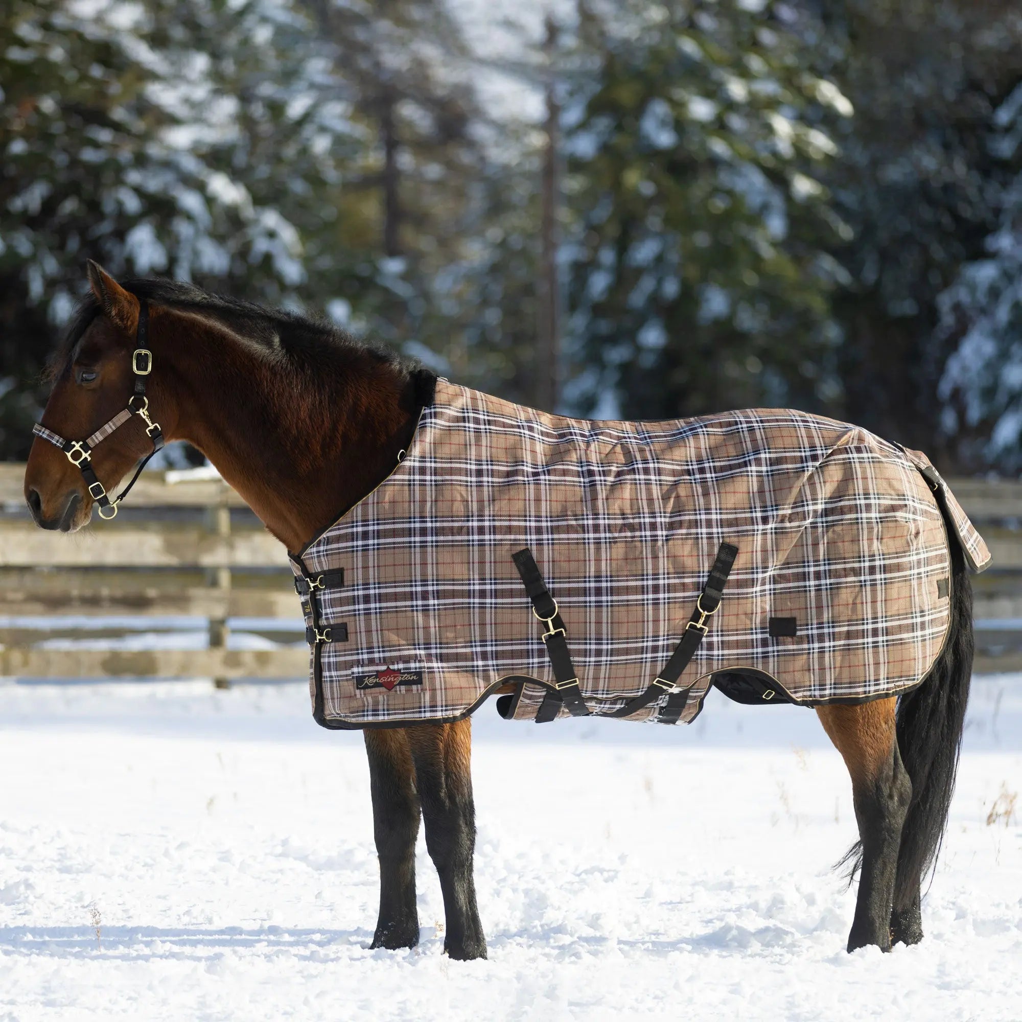 Winter Protection