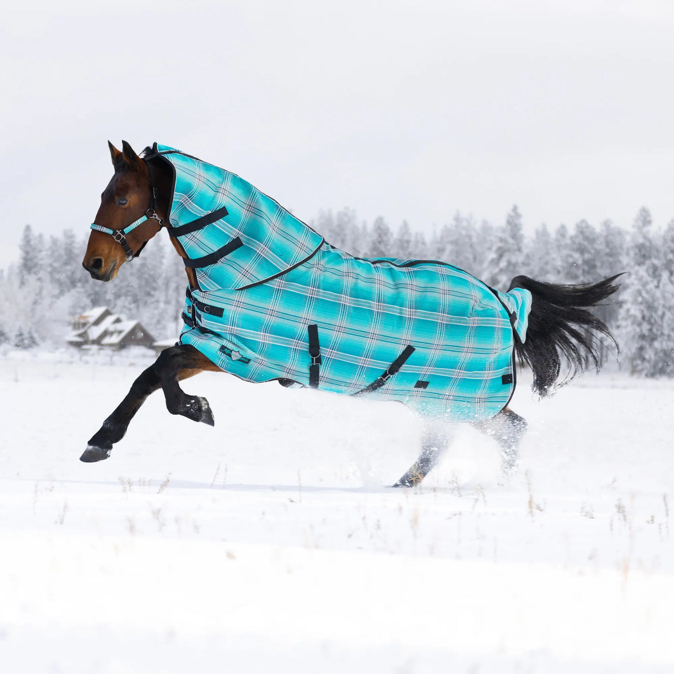 Supermesh® Winter Turnout Blanket - Supremely Durable, Waterproof & Breathable Kensington Protective Products