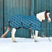 1200D Midweight 180g Horse Winter Turnout Blanket - Waterproof & Breathable Kensington Protective Products