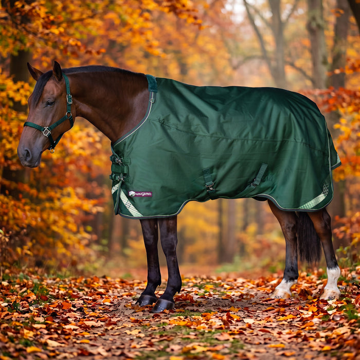 KPP-LATEST-SCR-2026-10|8SCR080-HORSE|G|8073a0df140bba52f4b0
