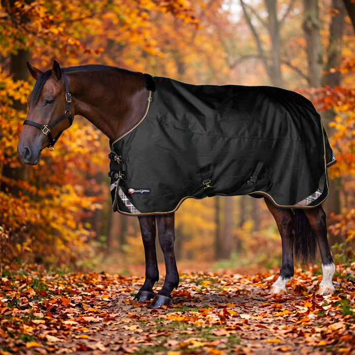 KPP-LATEST-SCR-2026-10|8SCR080-HORSE|G|9d2340e2e0a50ca8907a