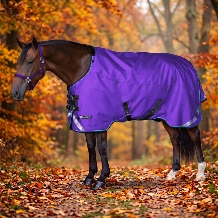 KPP-LATEST-SCR-2026-10|8SCR080-HORSE|G|460b8239dae25275ebad