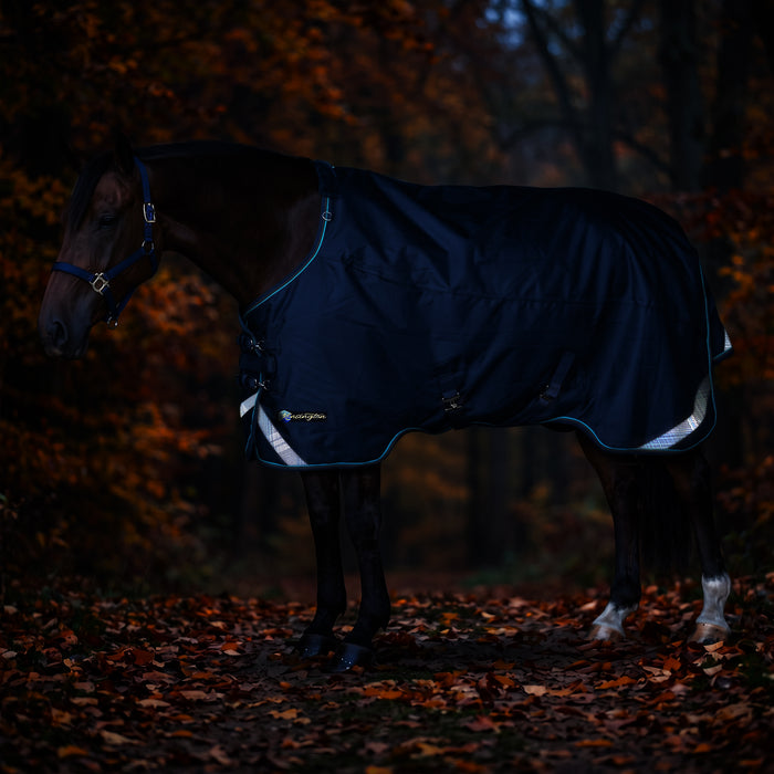 KPP-LATEST-SCR-2026-10|8SCR080-HORSE|K|40e028d288f9ff19fab0