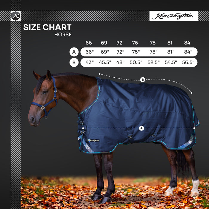 KPP-LATEST-SCR-2026-10|8SCR080-HORSE|L|e4b79345ea7888804acc