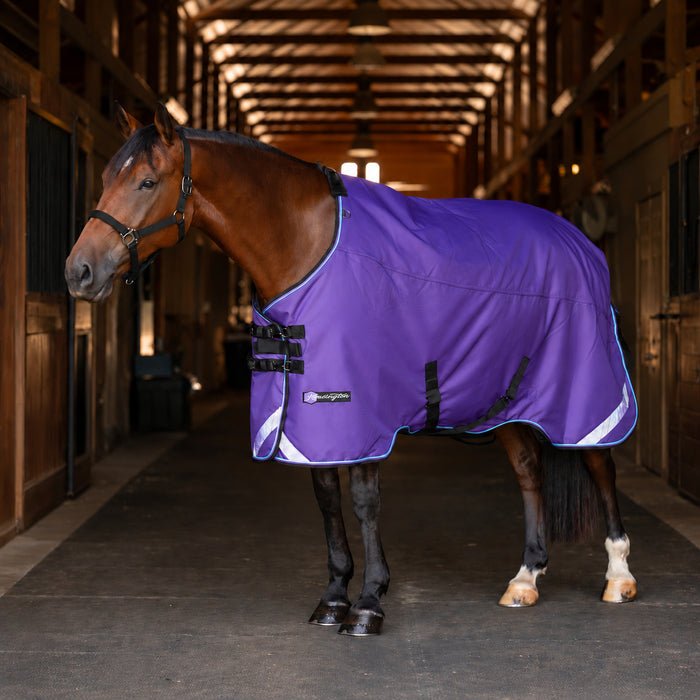 KPP-LATEST-SCR-2026-10|8SCR180-HORSE|I|90aa6f993a8e18b4af0c