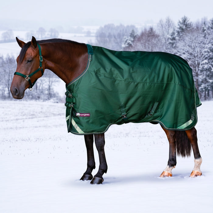 KPP-LATEST-SCR-2026-10|8SCR180-HORSE|G|f9a88d85068a948ccb6b