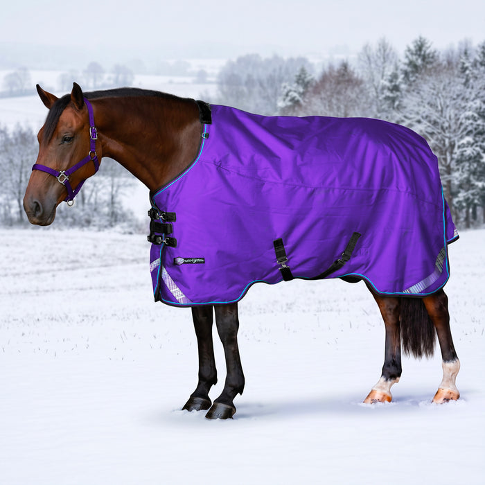 KPP-LATEST-SCR-2026-10|8SCR180-HORSE|G|dcf707d1f32421b098cf