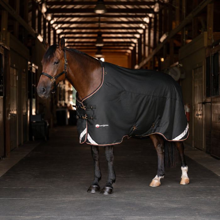 KPP-LATEST-SCR-2026-10|8SCR300-HORSE|I|4a21ec9b4d5f1da912bb