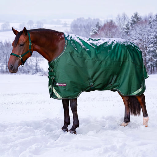 KPP-LATEST-SCR-2026-10|8SCR300-HORSE|G|d3cceebed0265317c56a