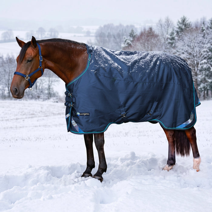 KPP-LATEST-SCR-2026-10|8SCR300-HORSE|G|81e949ce50ffd921effb