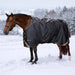 KPP-LATEST-SCR-2026-10|8SCR300-HORSE|G|2382a48aa113976881f2