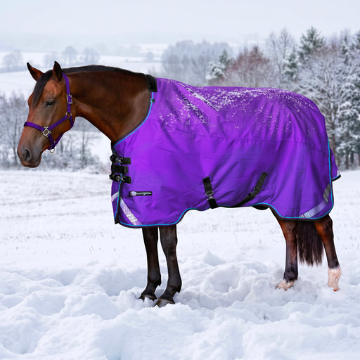 KPP-LATEST-SCR-2026-10|8SCR300-HORSE|G|4803a41cf3bff037763f