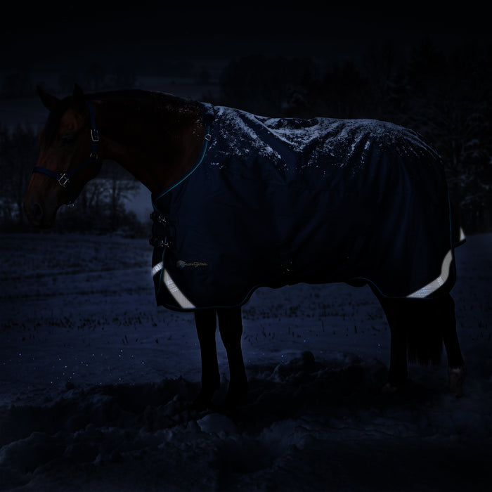 KPP-LATEST-SCR-2026-10|8SCR300-HORSE|K|25fc47dae60e4129f919