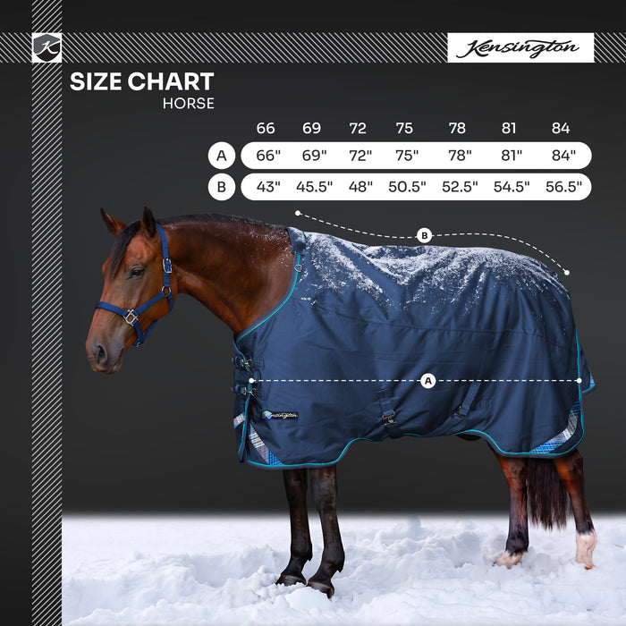 KPP-LATEST-SCR-2026-10|8SCR300-HORSE|L|ae1b3b77abfc1a3df770