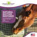 Freedom Feeder Extended Day Net - Slow Feed Hay Net - 2 String Bale - 3 Size Mesh Options Freedom Feeder