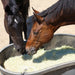 Freedom Feeder Full Bale Hay Net - Slow Feed Hay Net - 3 String Bale - 3 Size Mesh Options Freedom Feeder