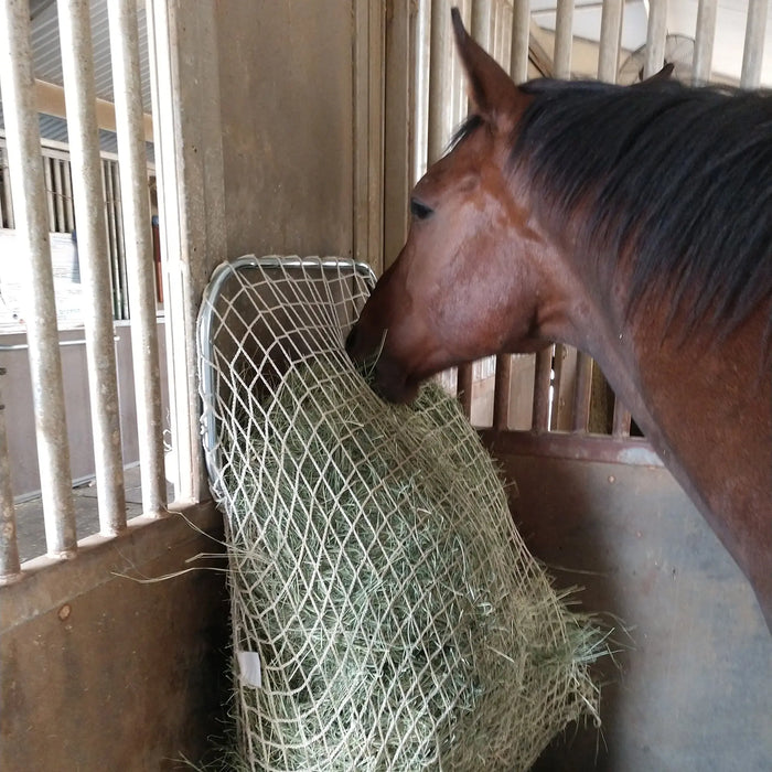 Freedom Feeder Frame - Slow Feed Hay Net Frame - Easy Slow Feed Solution Kensington Protective Products