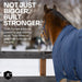 Draft Horse Heavyweight 300g Winter Turnout Blanket - Waterproof & Breathable Kensington Protective Products