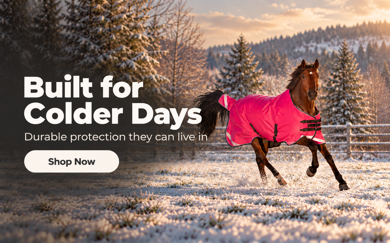 A horse running through a snowy outdoor field at sunset, wearing a bright pink horse blanket. Large text on the left reads 'Built for Colder Days' with a 'Shop Now' button below, and the scene includes trees, hills, and warm sky.
