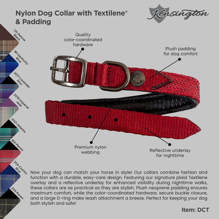 Nylon Dog Collar with Textilene & Padding