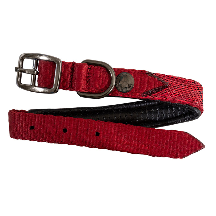 Nylon Dog Collar with Textilene & Padding