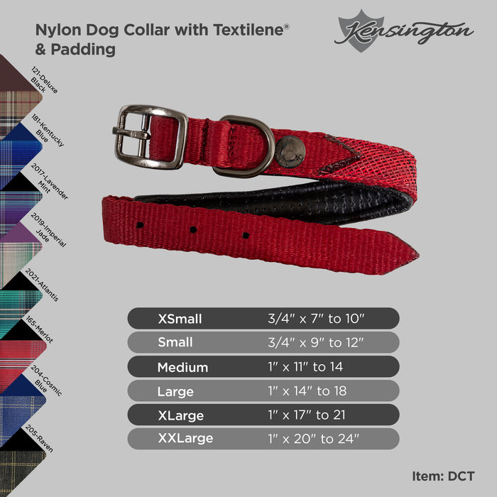 Nylon Dog Collar with Textilene & Padding