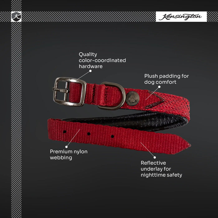 Nylon/Textilene Dog Collar - Safety Reflective with Comfort Padding Kensington Protective Products