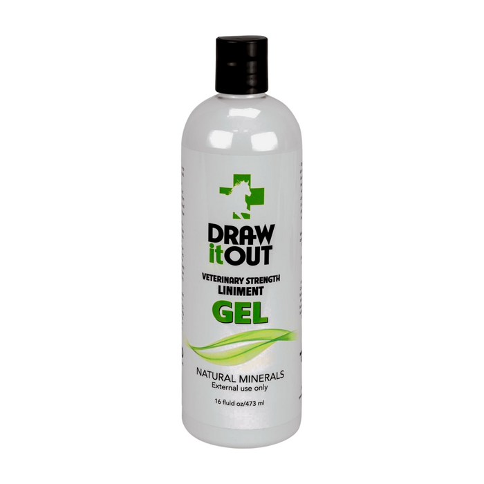 Draw It Out® 16oz Horse Liniment Gel | Daily Care