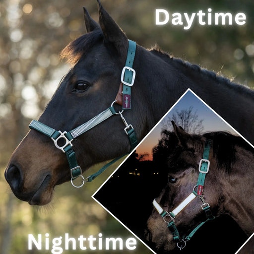 Reflective Breakaway Nylon Halter with Textliene Kensington Protective Products