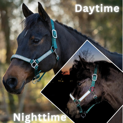 Reflective Nylon Halter with Textliene Kensington Protective Products