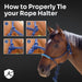 Clinician Training Rope Halter with Braided Nose Kensington Protective Products