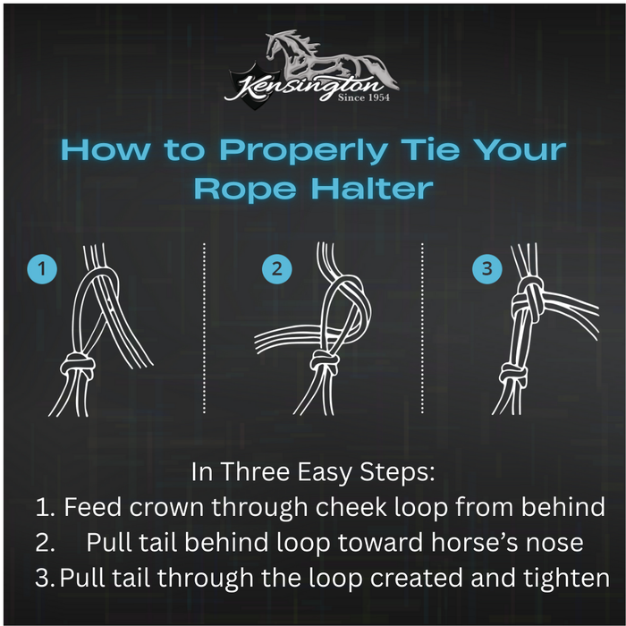 Clinician Rope Halter