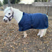 1200D Adjustable Foal 180G Medium Weight Winter Turnout Blanket - Waterproof & Breathable Kensington Protective Products
