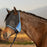 UViator CatchMask Fly Mask - 90% UV Blocking - Updated Dual Ear Design