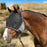UViator CatchMask Fly Mask - 90% UV Blocking - Updated Dual Ear Design