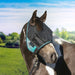 UViator CatchMask Fly Mask with 90% UV Protection - Roomy Fit Kensington Protective Products