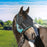 UViator CatchMask Fly Mask - 90% UV Blocking - Updated Dual Ear Design