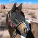 Kensington UViator Horse/Equine Fly Mask with Ears | 90% UV Protection in Merlot
