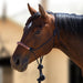 Clinician Training Rope Halter with Braided Nose Kensington Protective Products