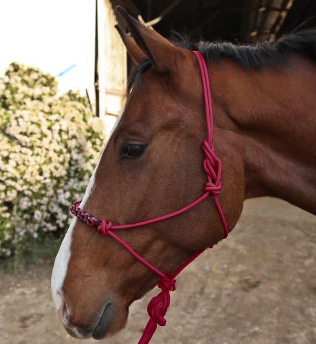 Clinician Rope Halter