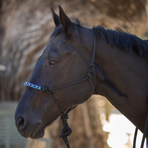 Clinician Training Rope Halter with Braided Nose Kensington Protective Products