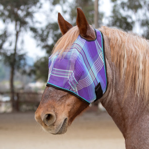 Kensington Draft Fly Mask web trim - Lavender Mint