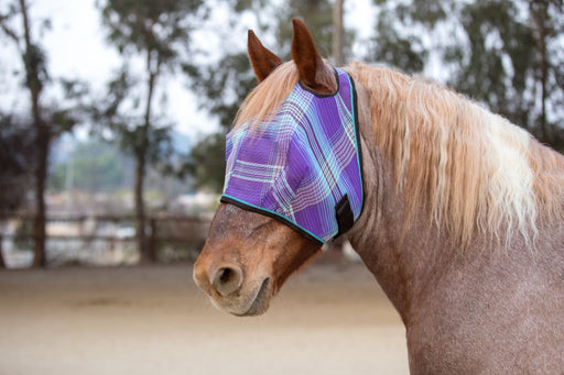 Draft Fly Mask with Web Trim - Dual Ear Holes - 73% UV Blocking