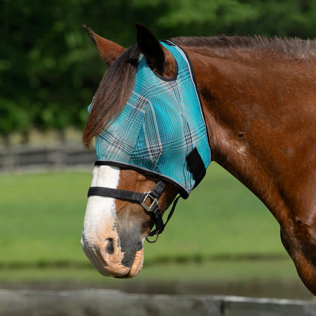 Draft Horse Fly Mask
