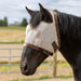 Draft Horse Fly Mask with Fleece Trim & 73% UV Protection - Open Top Design Kensington Protective Products