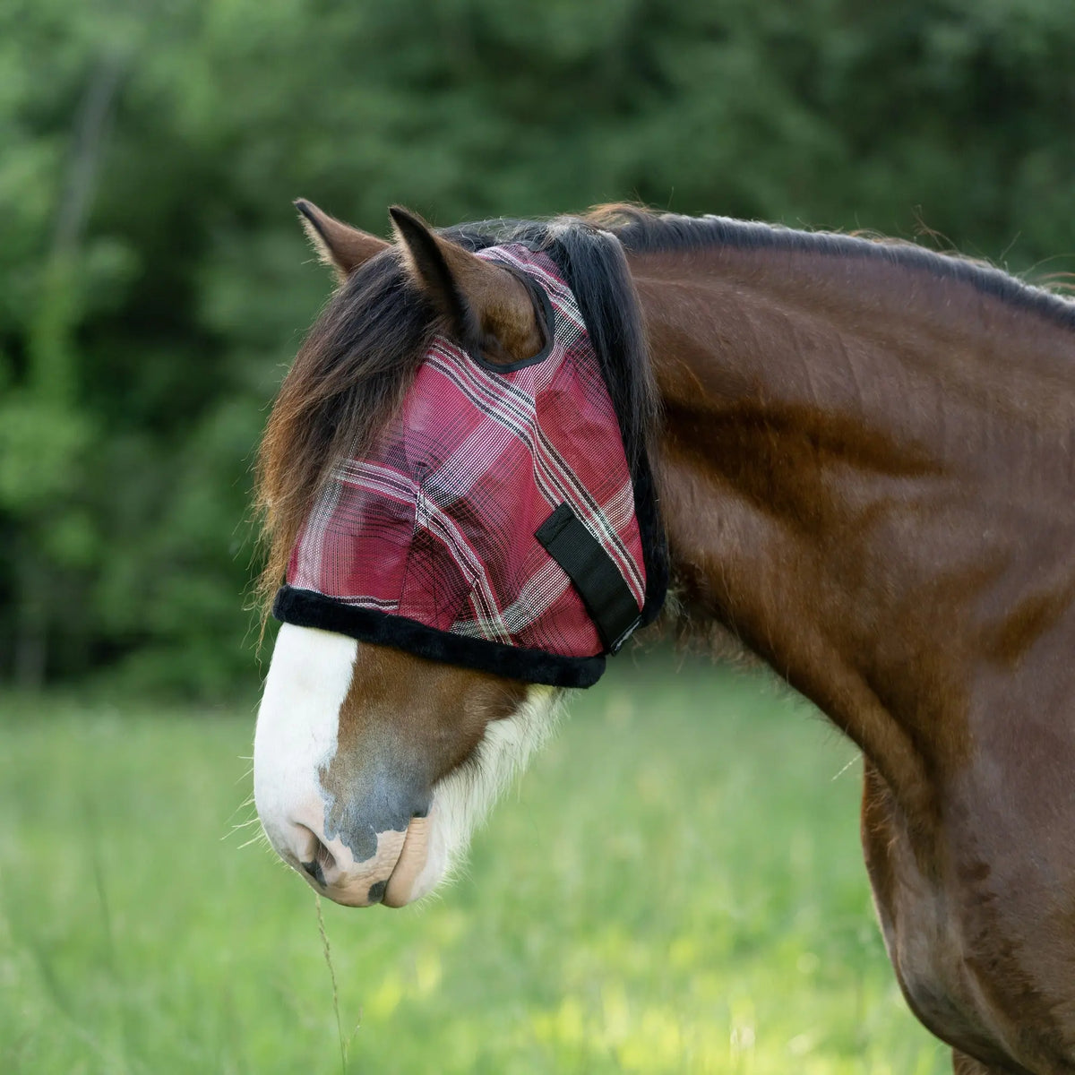 Draft Horse Fly Mask