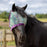 Draft Fly Mask with Fleece Trim - Dual Ear Holes