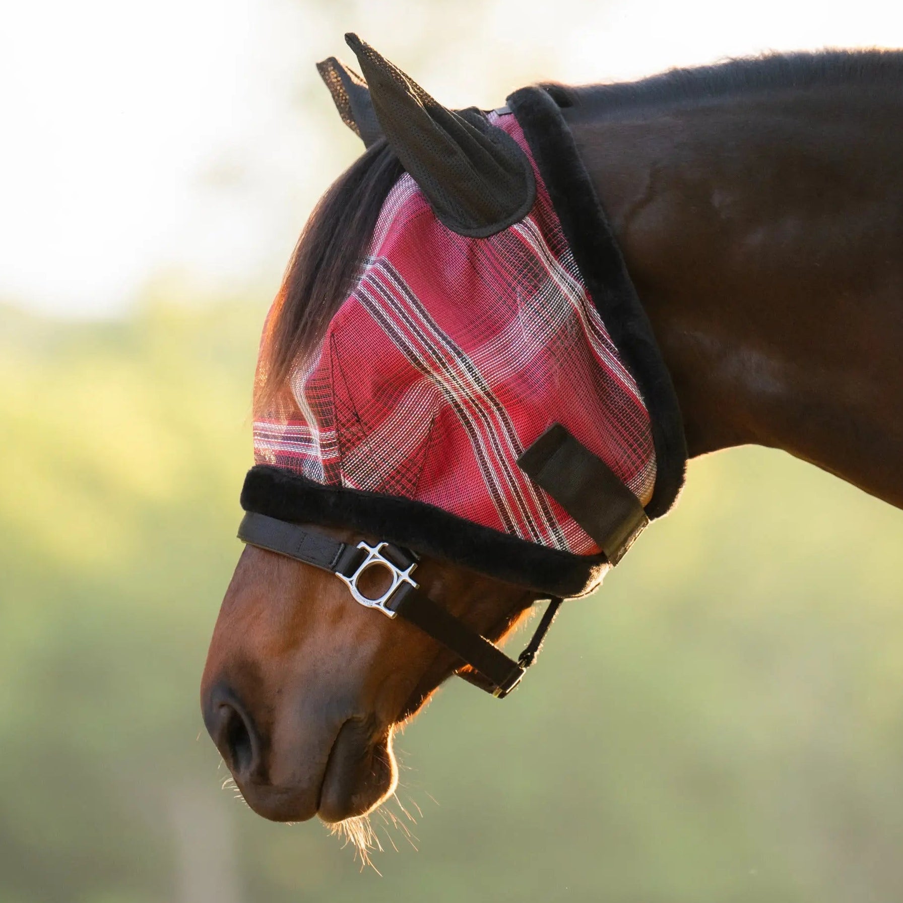 Fly Masks