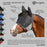 Fly Mask with Web Trim - Soft Mesh Ears & Forelock Opening - 73% UV Blocking